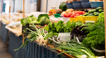 Lina Roberts's testimonial